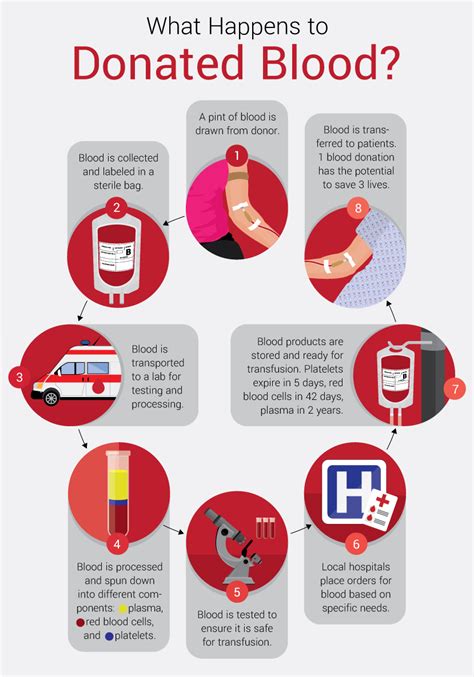 The process and health benefits of blood donation.